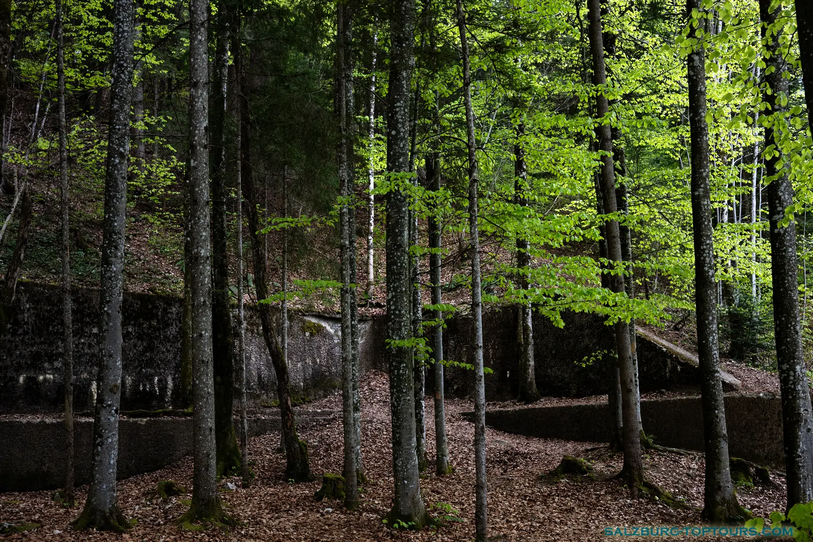 Salzburg toptours eagle's nest private tour hitler's mountain berghof eugene | Salzburg Top Tours by Eugene