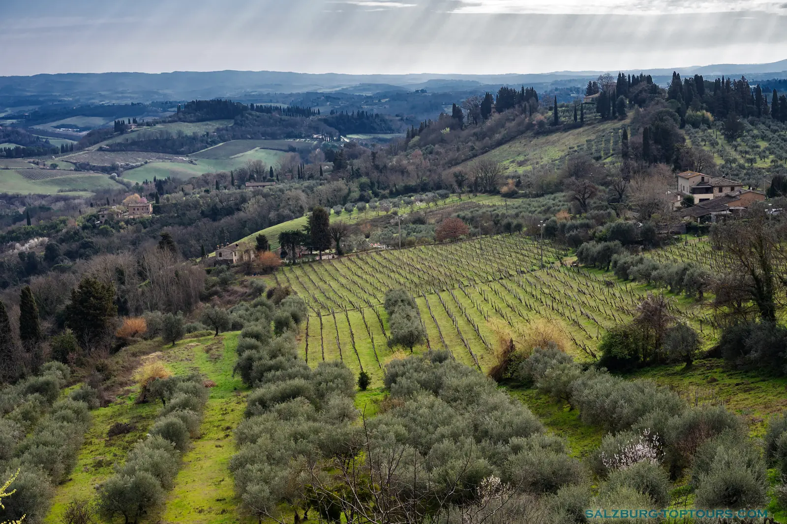 Salzburg toptours blog tuscany travel wine yards | Salzburg Top Tours by Eugene