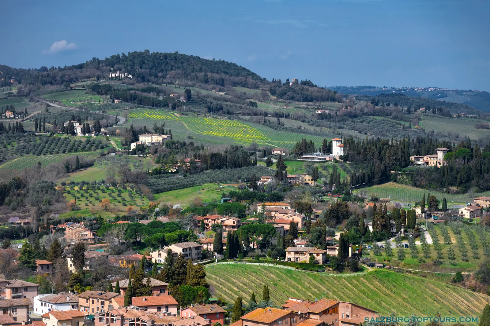 Salzburg toptours blog tuscany wine yards | Salzburg Top Tours by Eugene