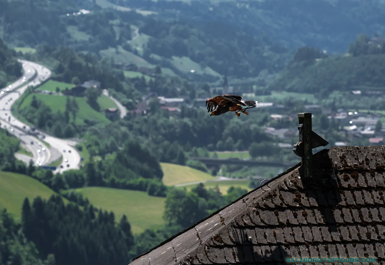 Salzburg toptours hohenwerfen castle falcon show golden eagle take off | Salzburg Top Tours by Eugene