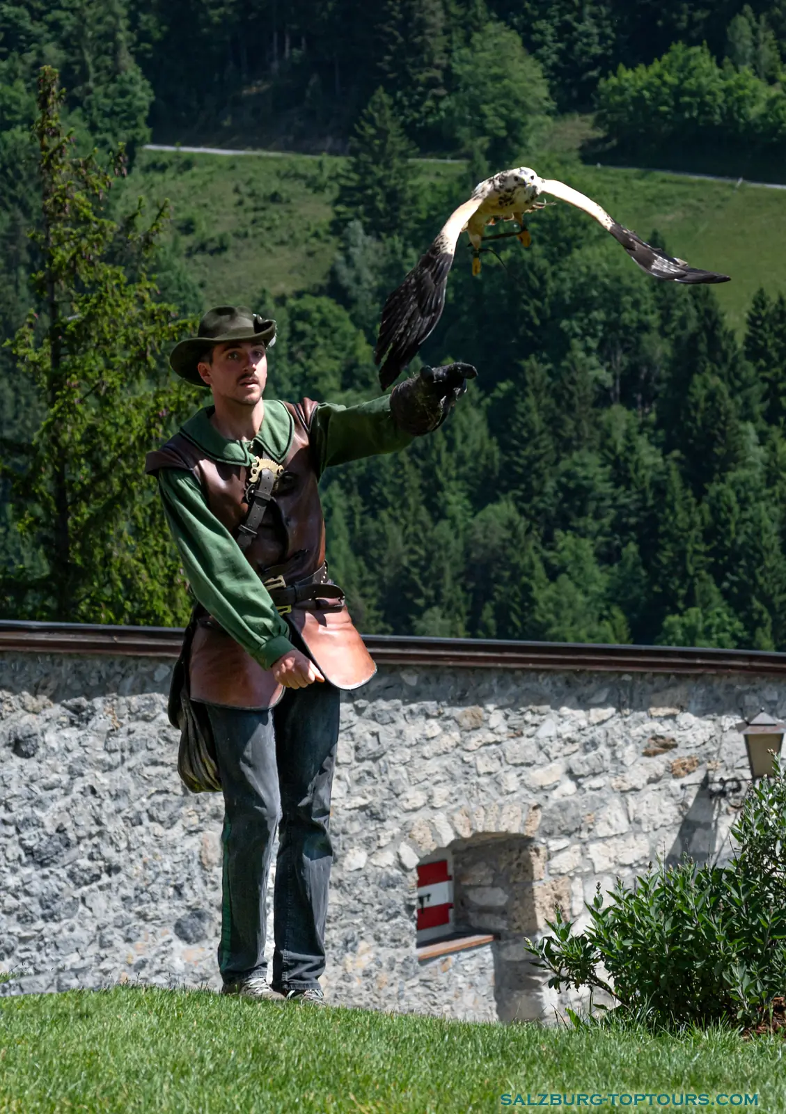 Salzburg toptours hohenwerfen castle falcon show goshawk is hunting | Salzburg Top Tours by Eugene